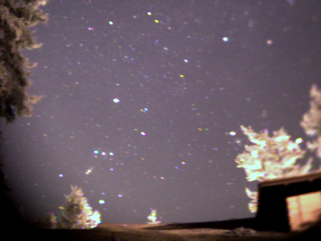 The Constellation Orion